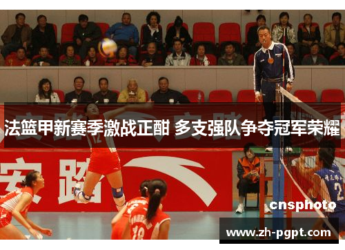 法篮甲新赛季激战正酣 多支强队争夺冠军荣耀 法篮甲新赛季激战正酣 多支强队争夺冠军荣耀