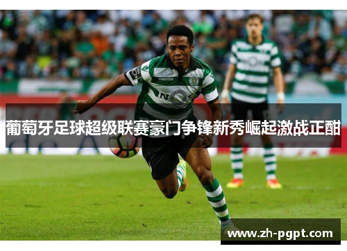 葡萄牙足球超级联赛豪门争锋新秀崛起激战正酣 葡萄牙足球超级联赛豪门争锋新秀崛起激战正酣